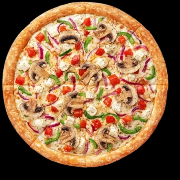 VEGETARİAN